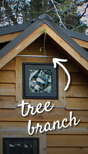 Tiny House Height - Tree